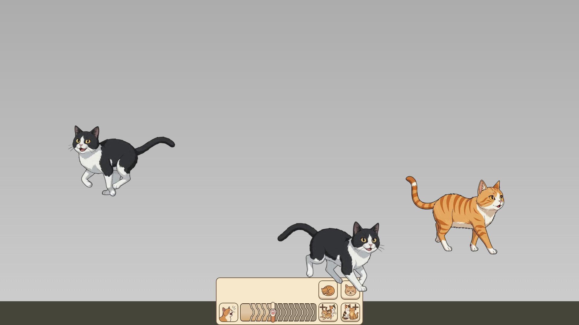 Nothing But Cats trailer