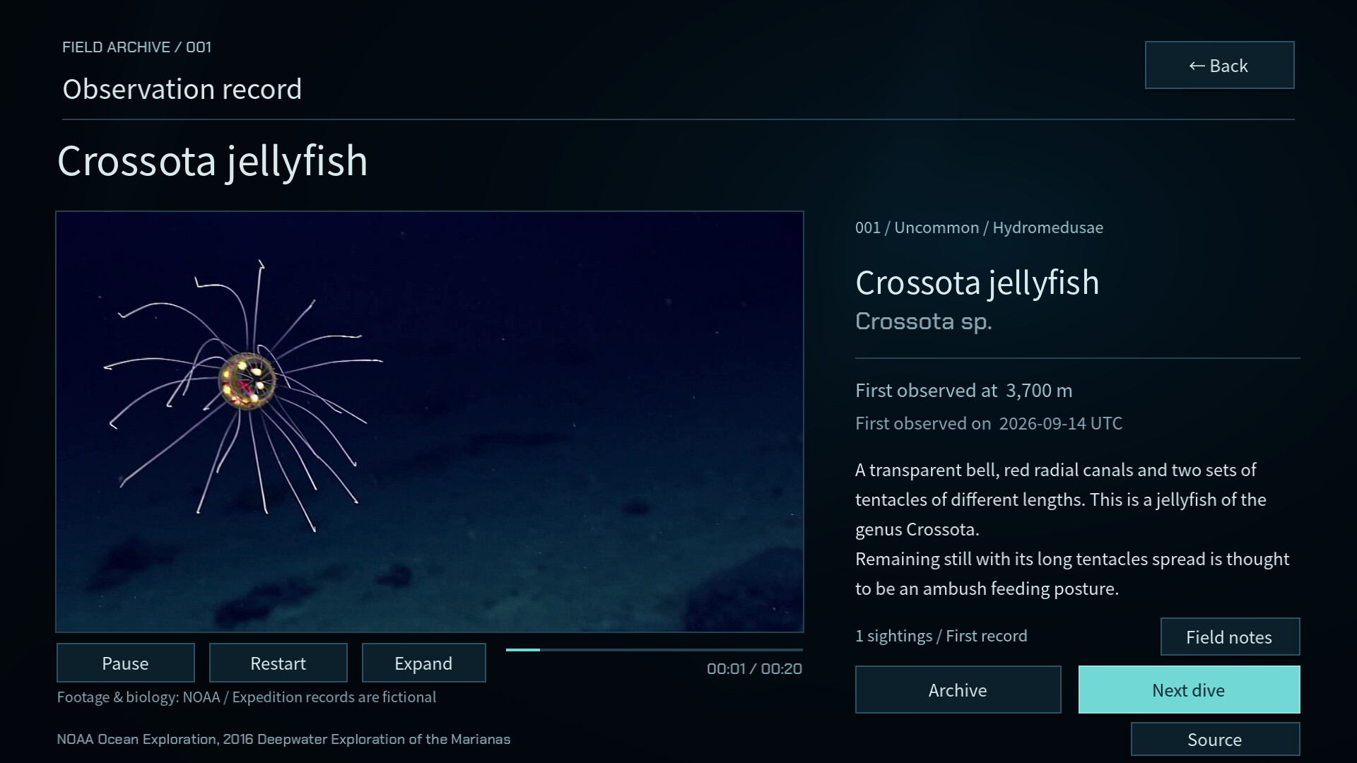 DEEP BLUE CONTACT screenshot 3