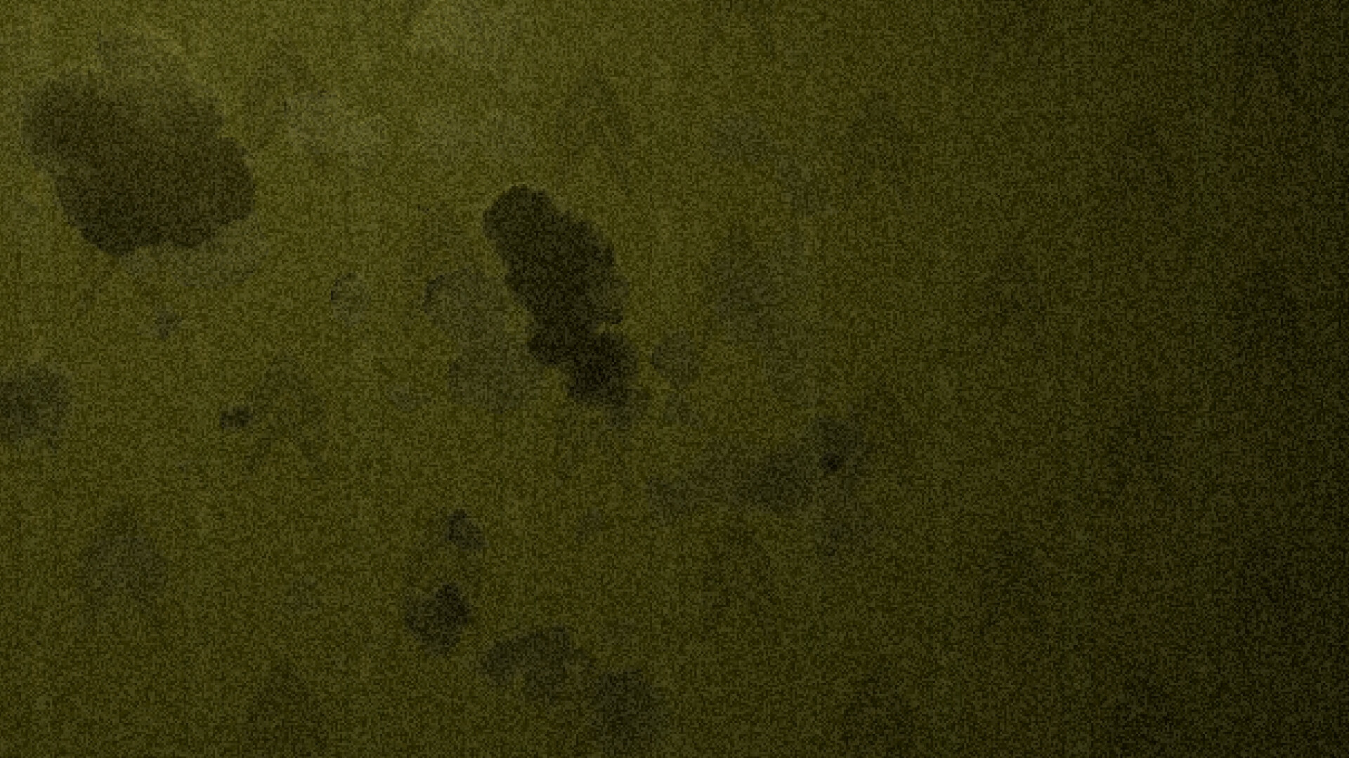 Backrooms Duck Edition screenshot 5