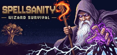 Cover art from Spellsanity: Wizard Survival