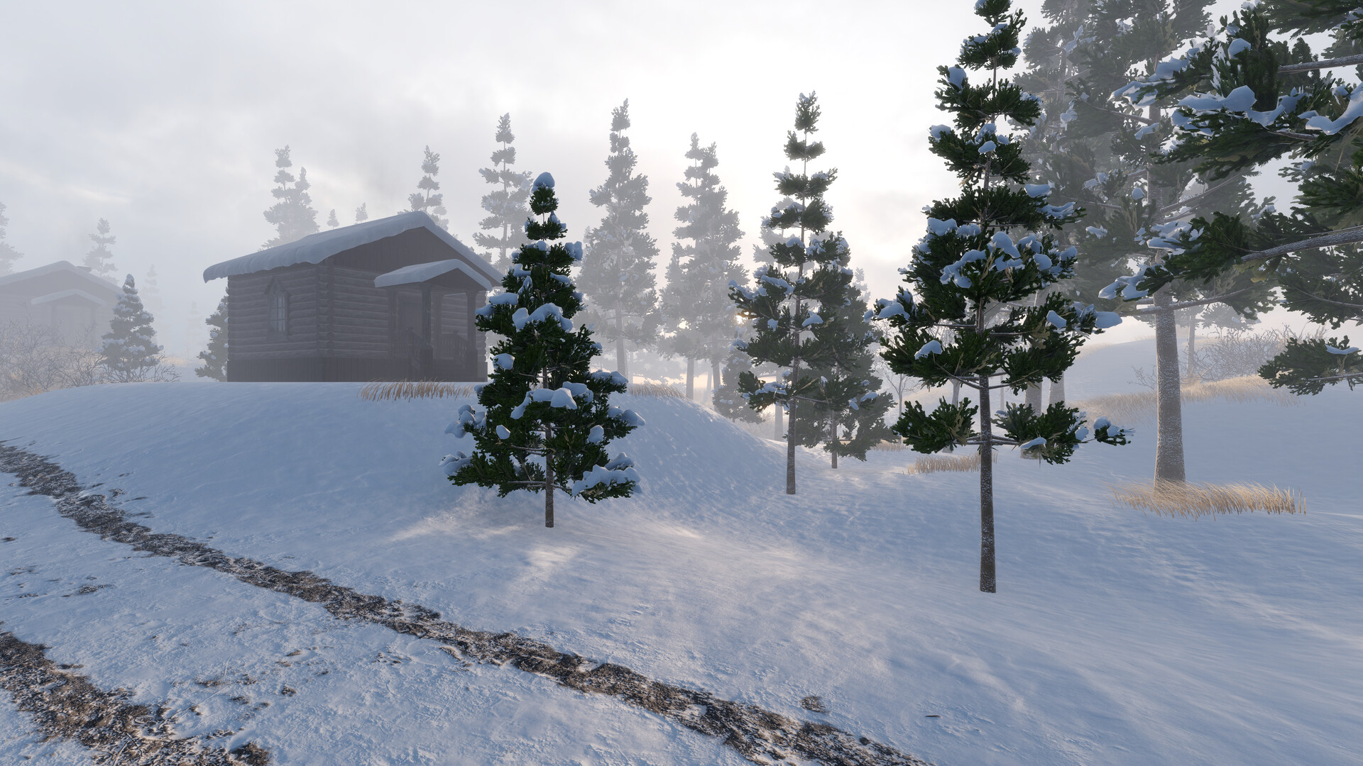 CORDON screenshot 4