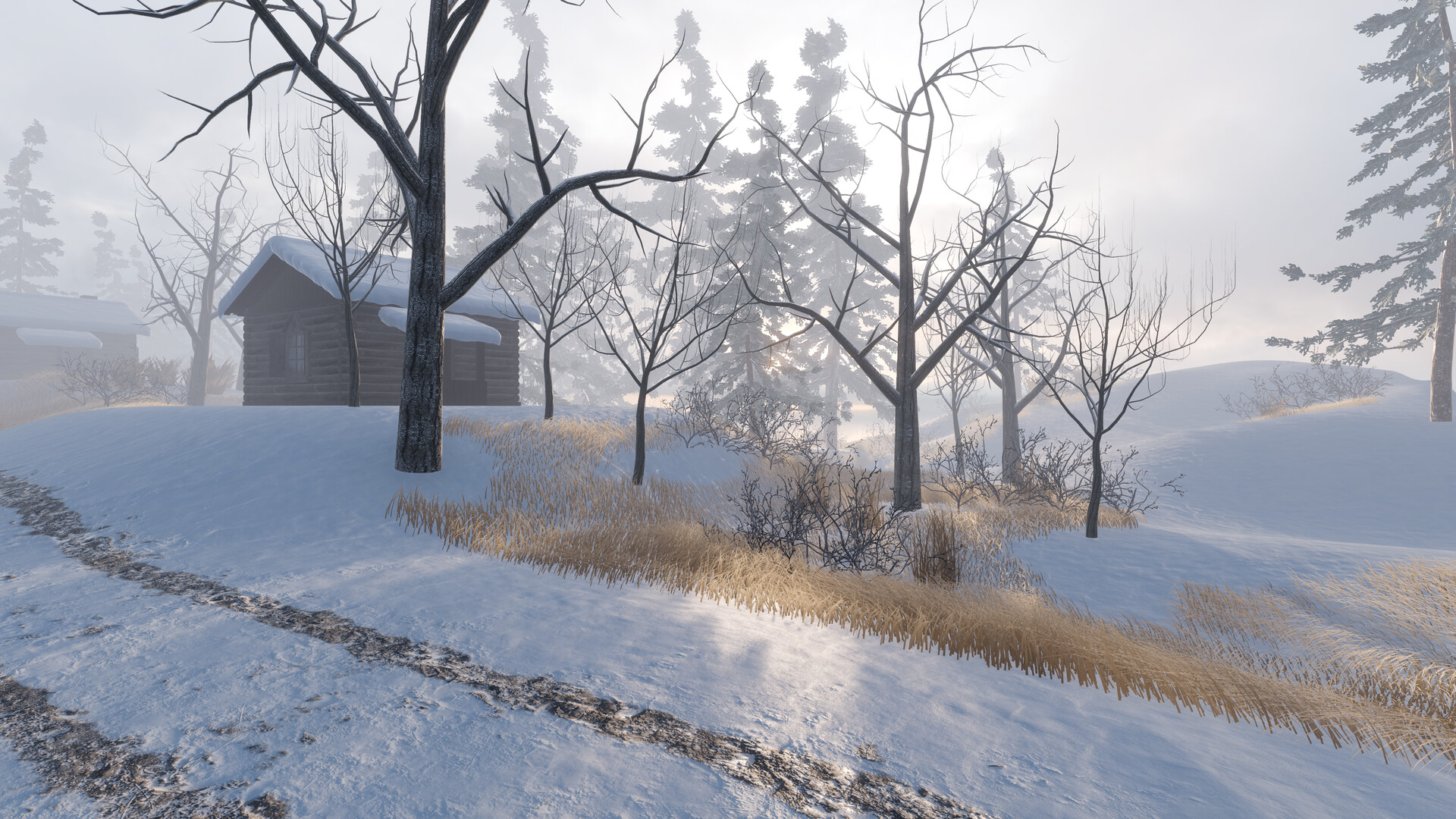 CORDON screenshot 4
