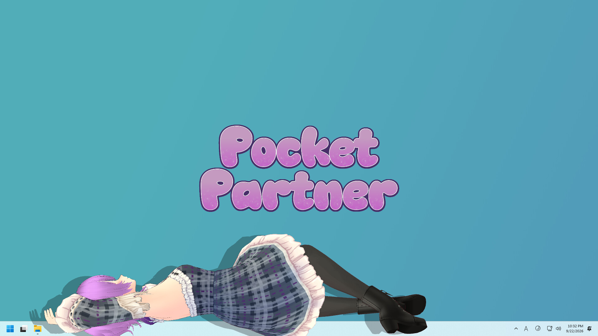 Pocket Partner screenshot 2