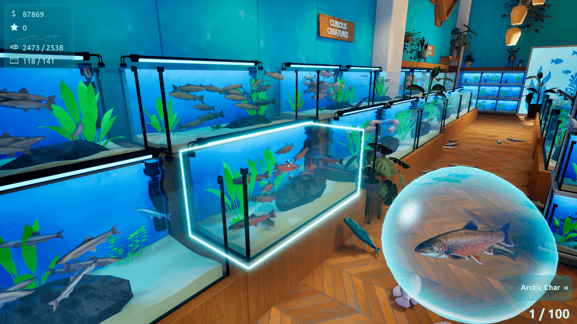 Sort Them Fish screenshot 2