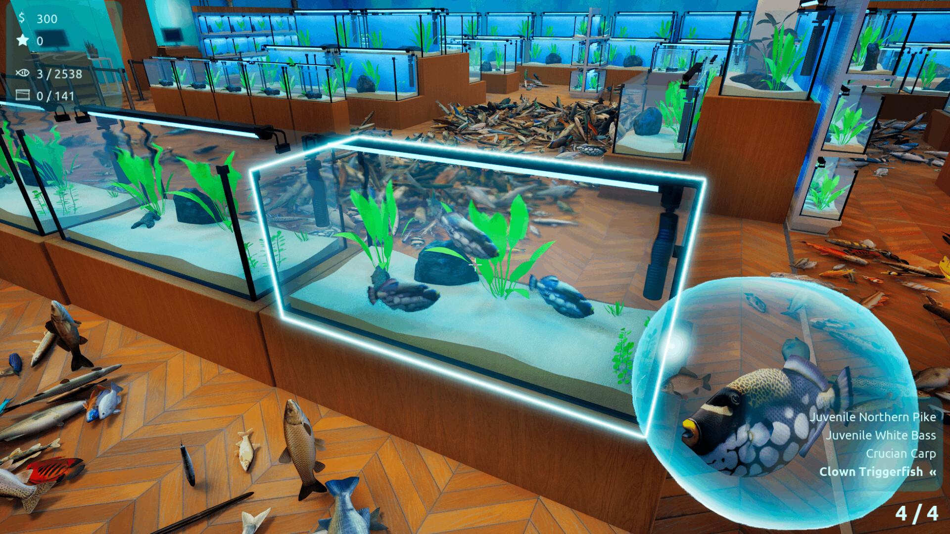 Sort Them Fish screenshot 4