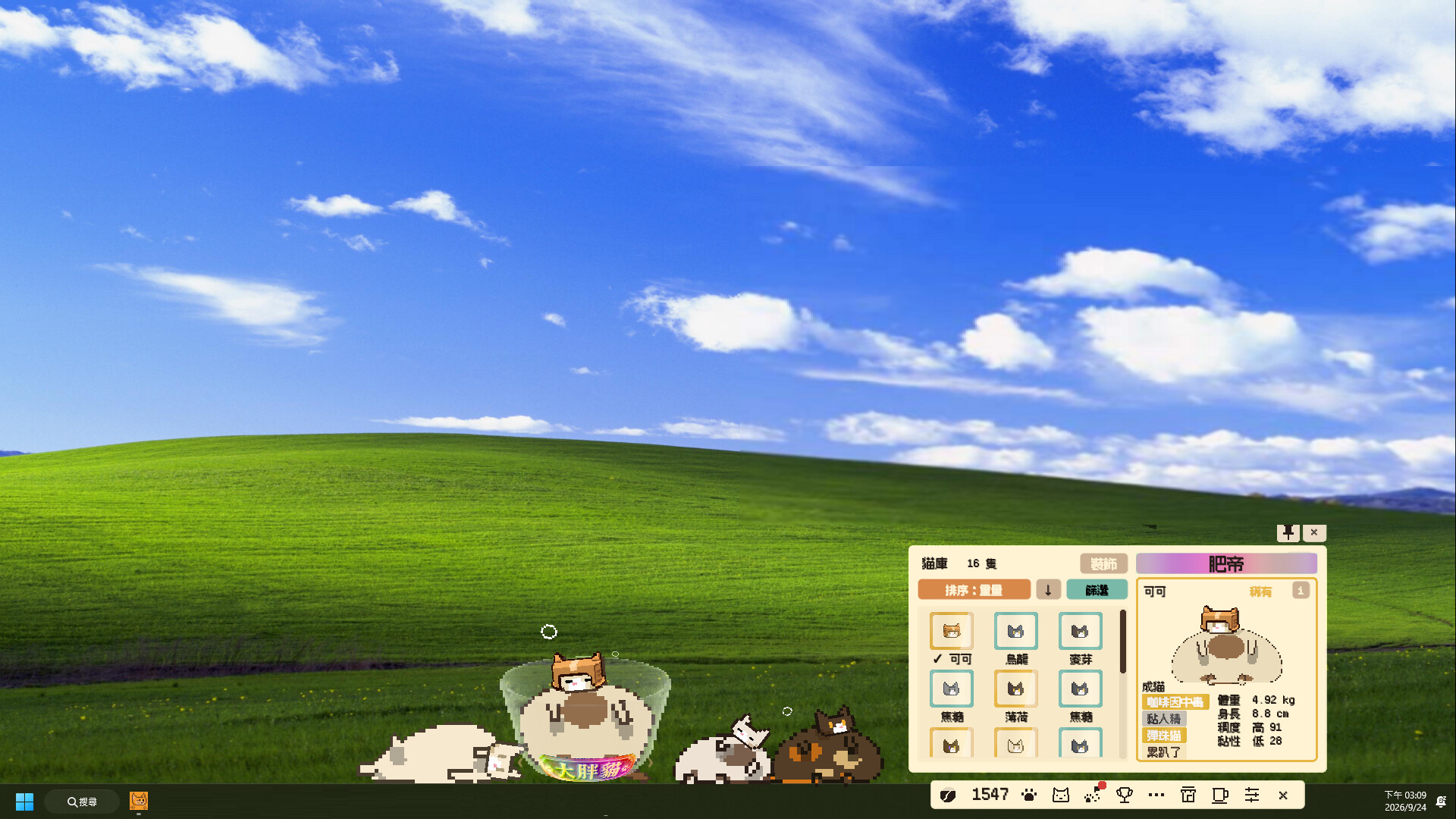 A Cup of Cat screenshot 5