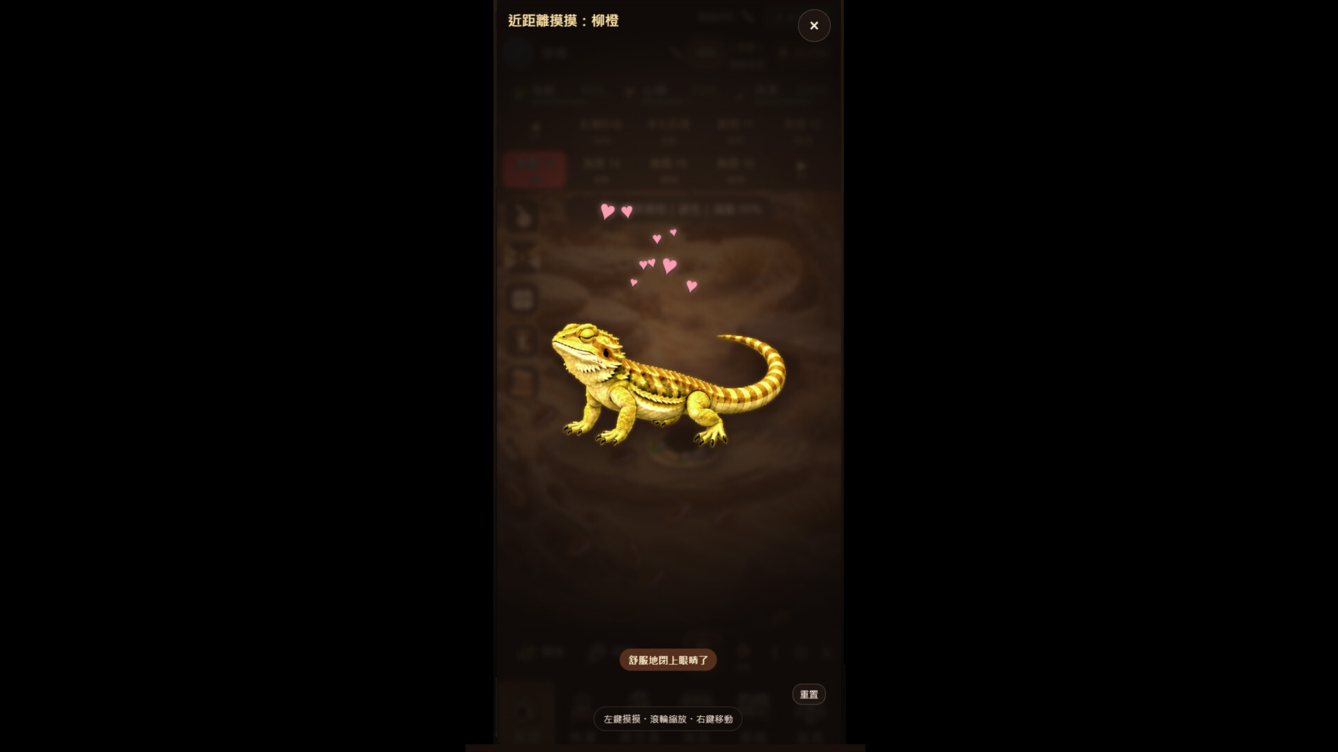 Bearded Dragon Nursery screenshot 4