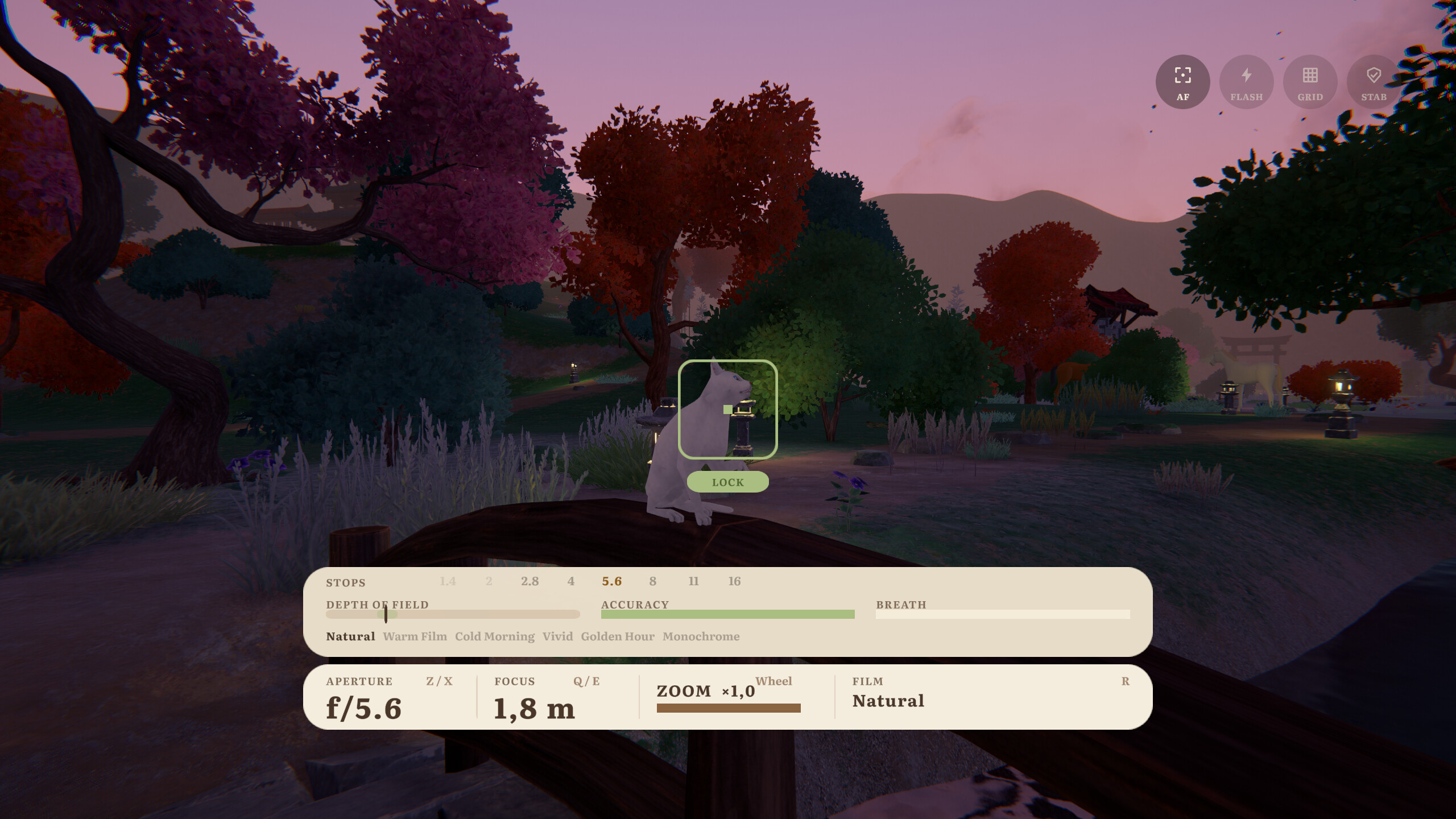 Still Garden: A Wildlife Photography Sim screenshot 2