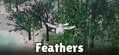 Cover art from Feathers
