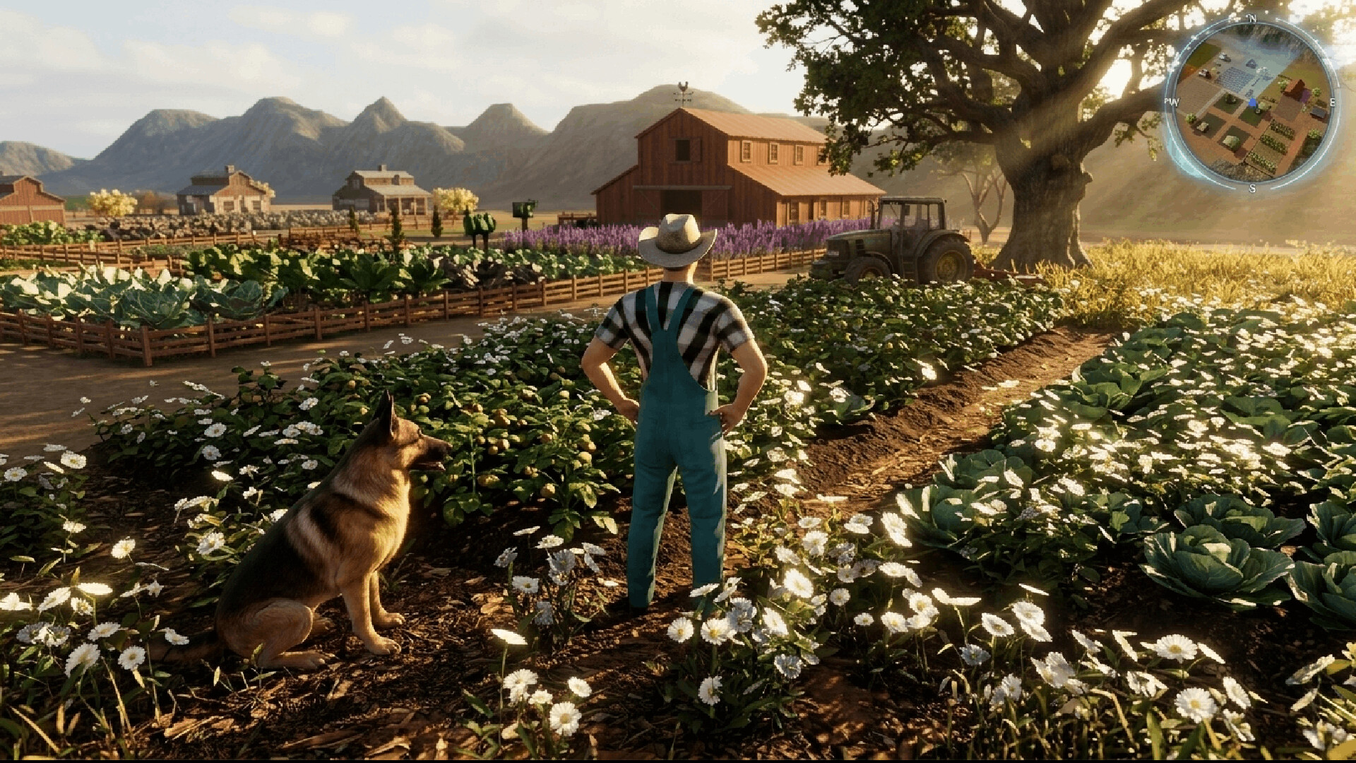 Final Verdict: Mistwood trailer