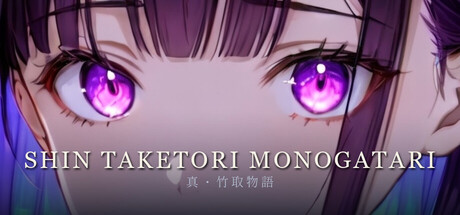Cover art from 真・竹取物語 / Shin Taketori Monogatari
