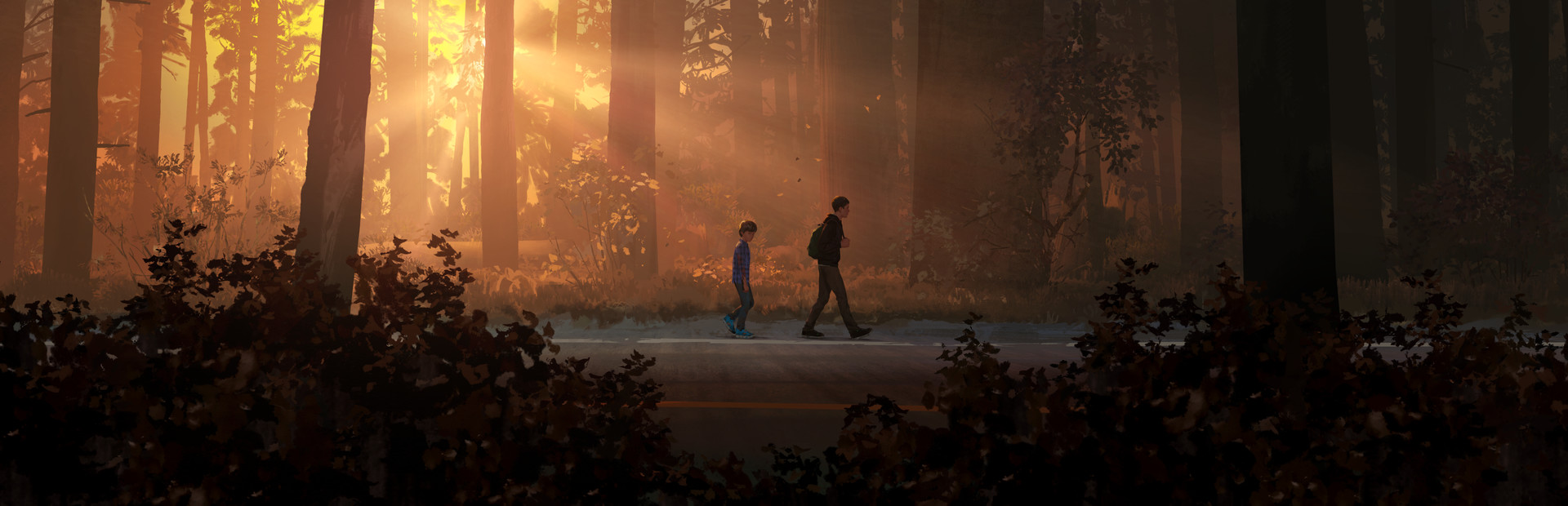 Игра Life Is Strange 2