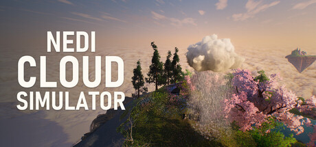 Cover art from Nedi Cloud Simulator