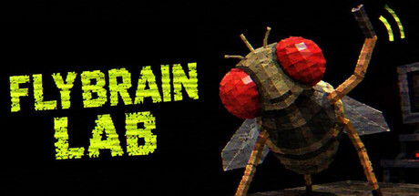 Cover art from FLYBRAIN LAB