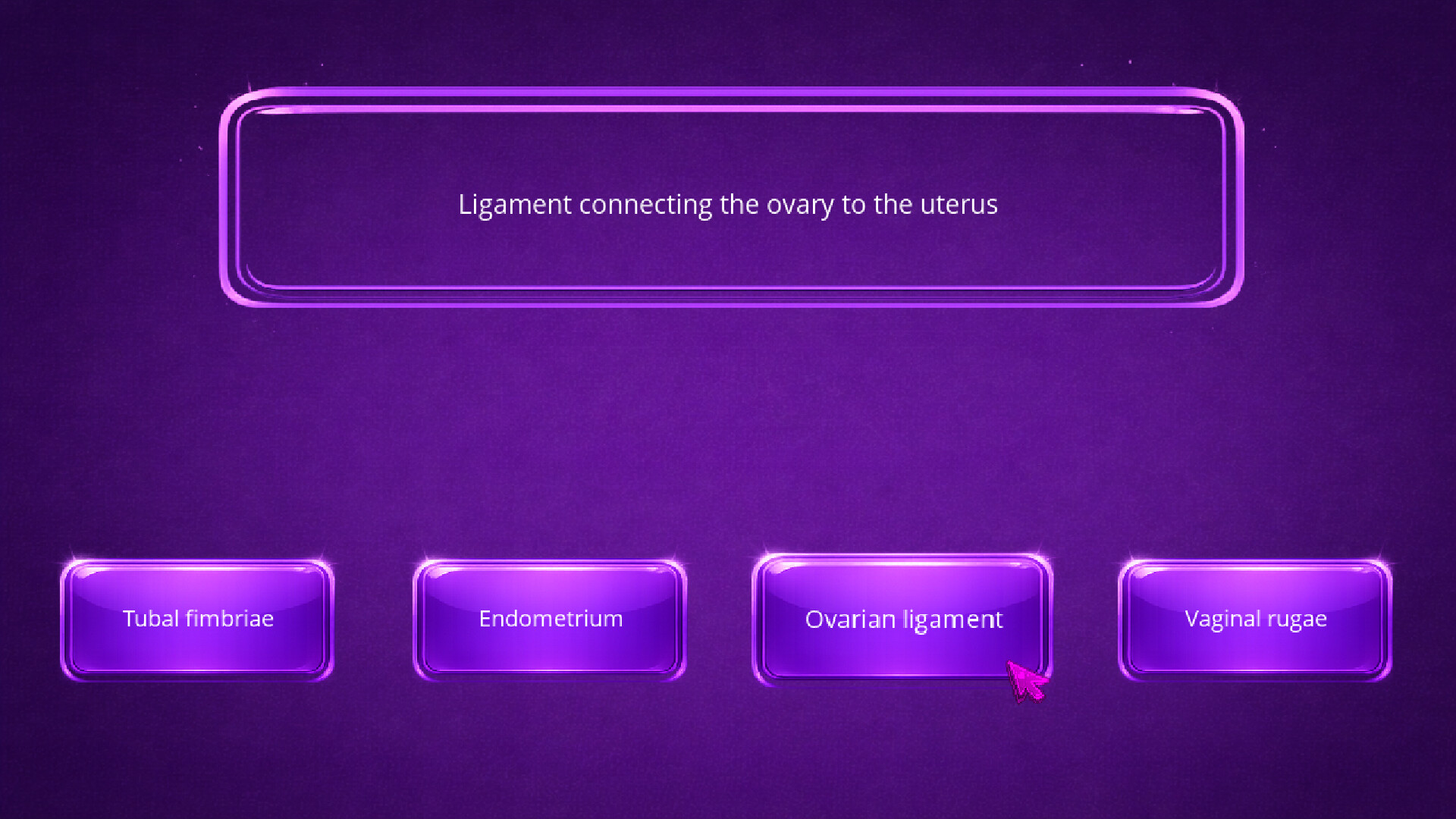 Vagina Sancta screenshot 3