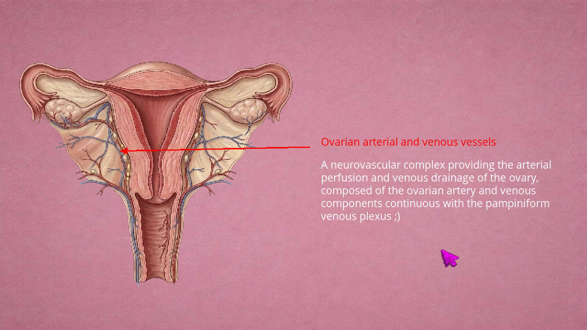 Vagina Sancta screenshot 2