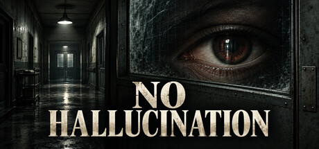 Cover art from NO HALLUCINATION