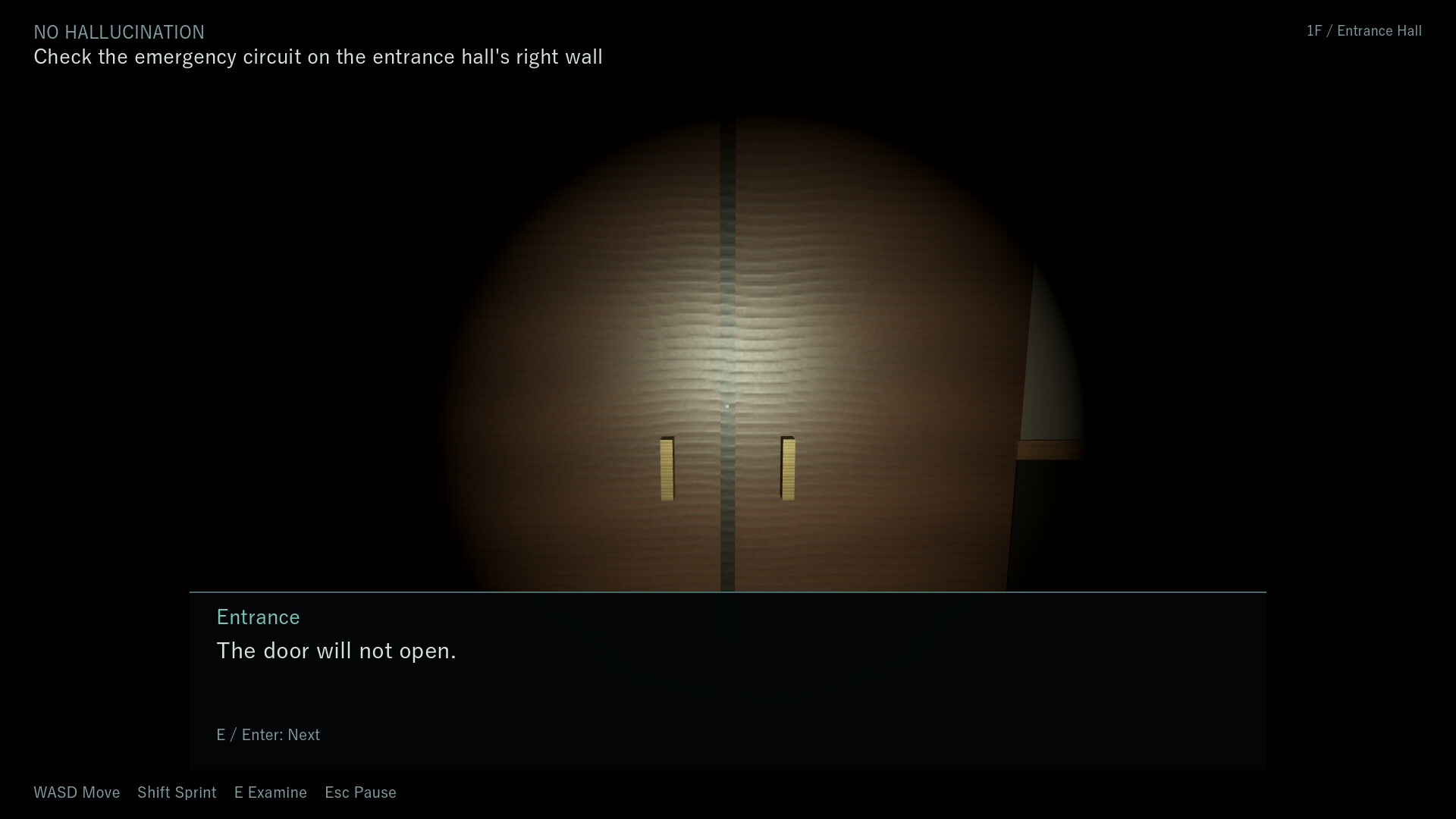 NO HALLUCINATION screenshot 3