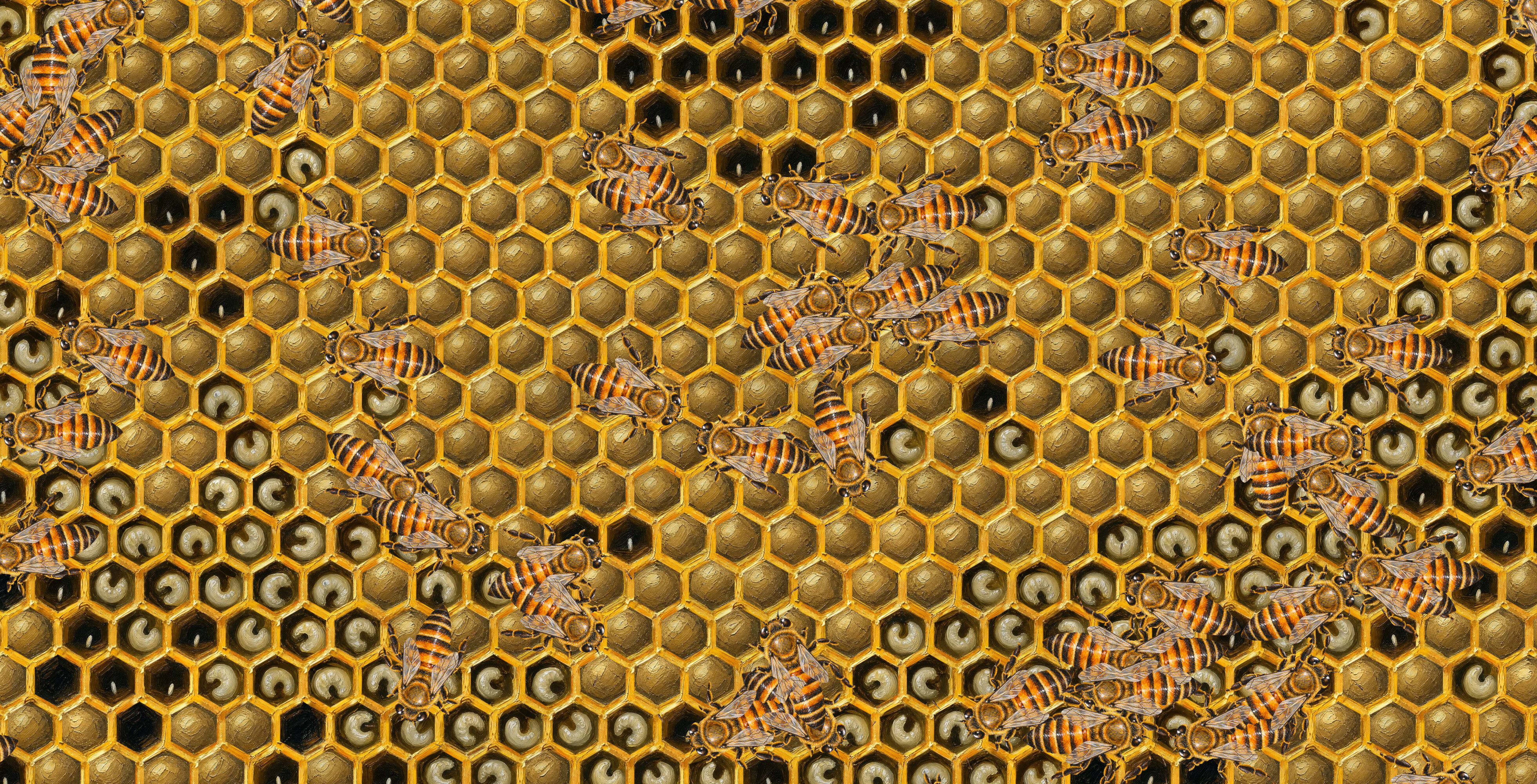 My First Beehive screenshot 1