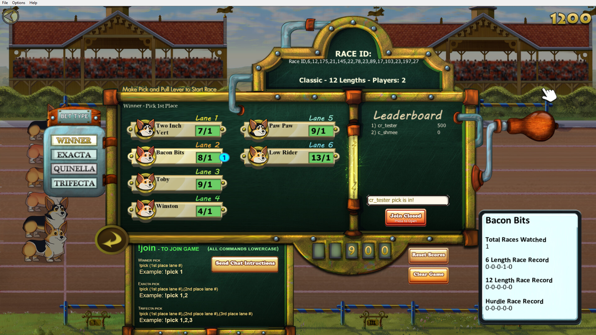 Corgi Race Live screenshot 3