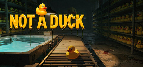 Cover art from Not a Duck