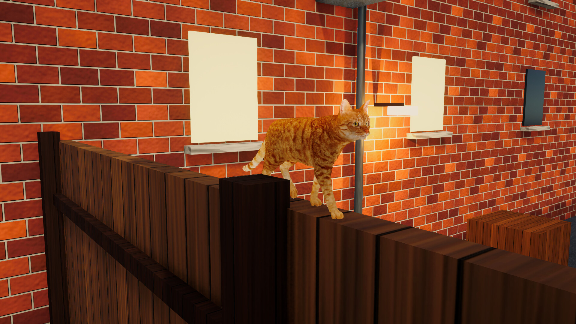 CatMischief trailer