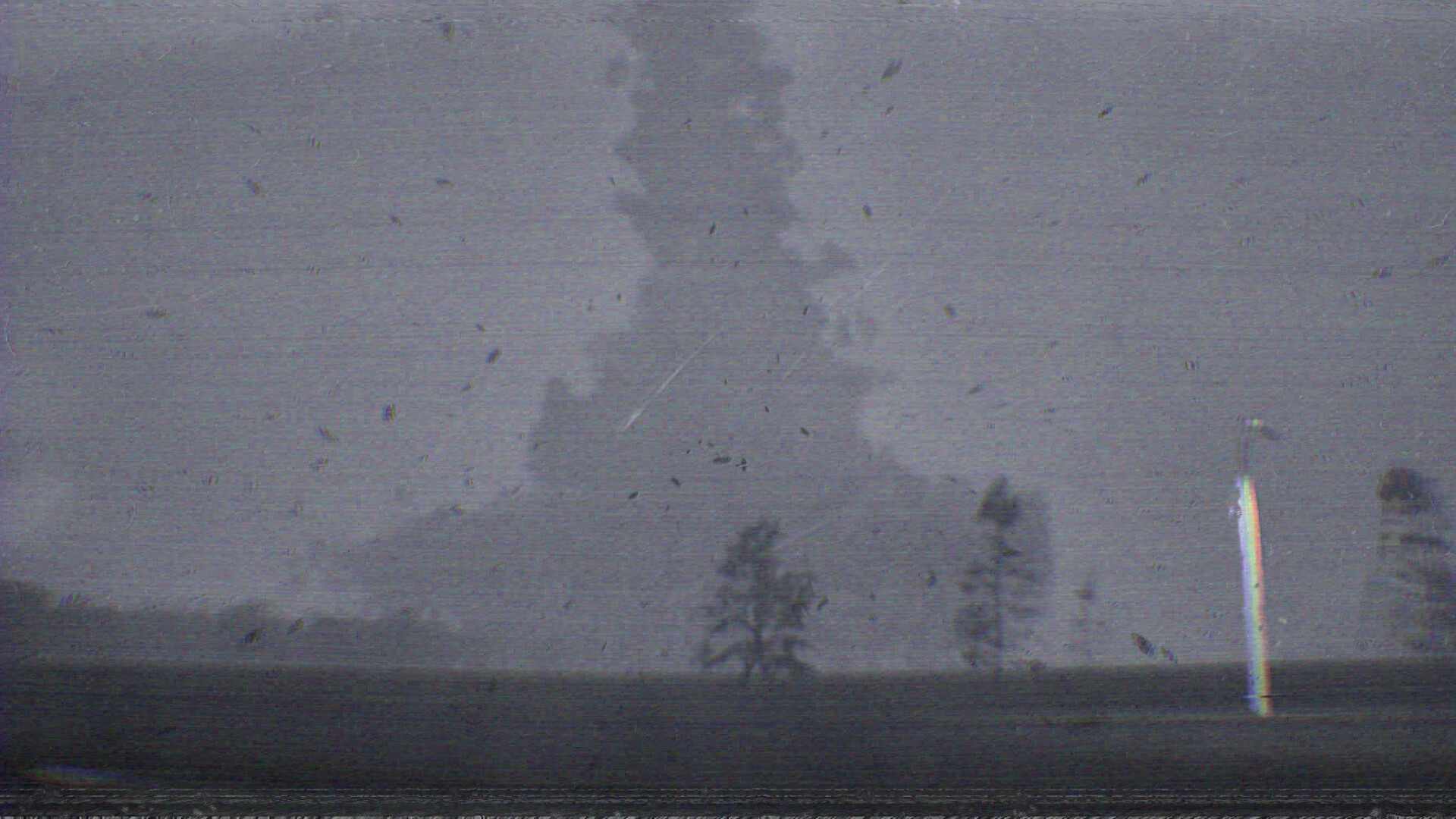 NO SHELTER screenshot 3