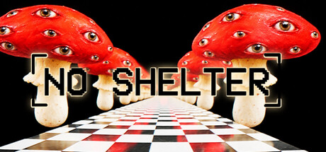 Cover art from NO SHELTER