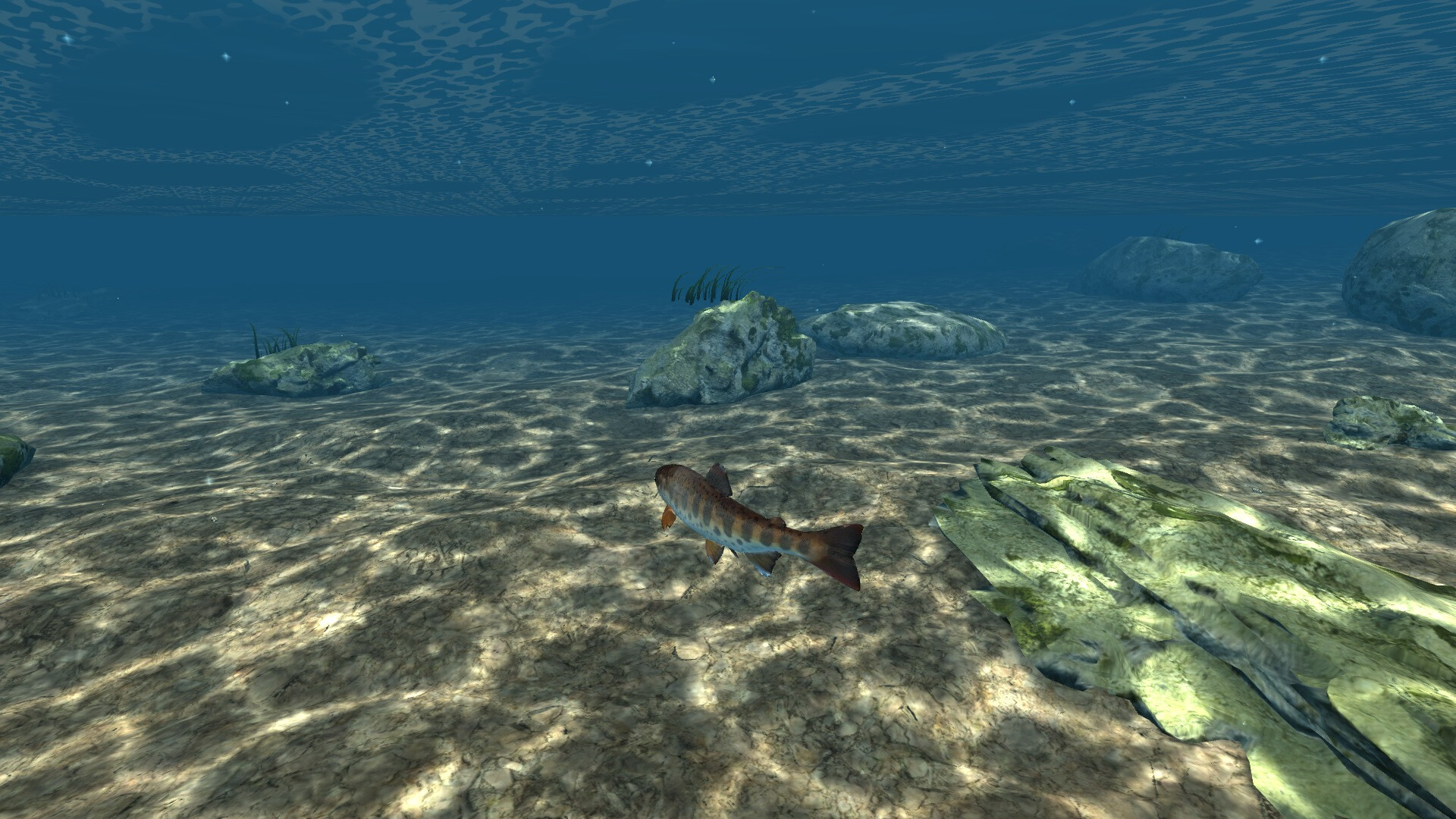 Omega 3 trailer