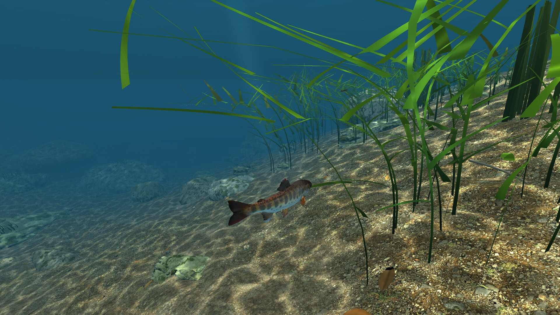 Omega 3 screenshot 2