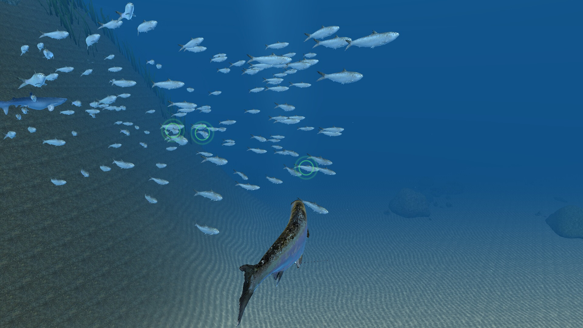 Omega 3 screenshot 3