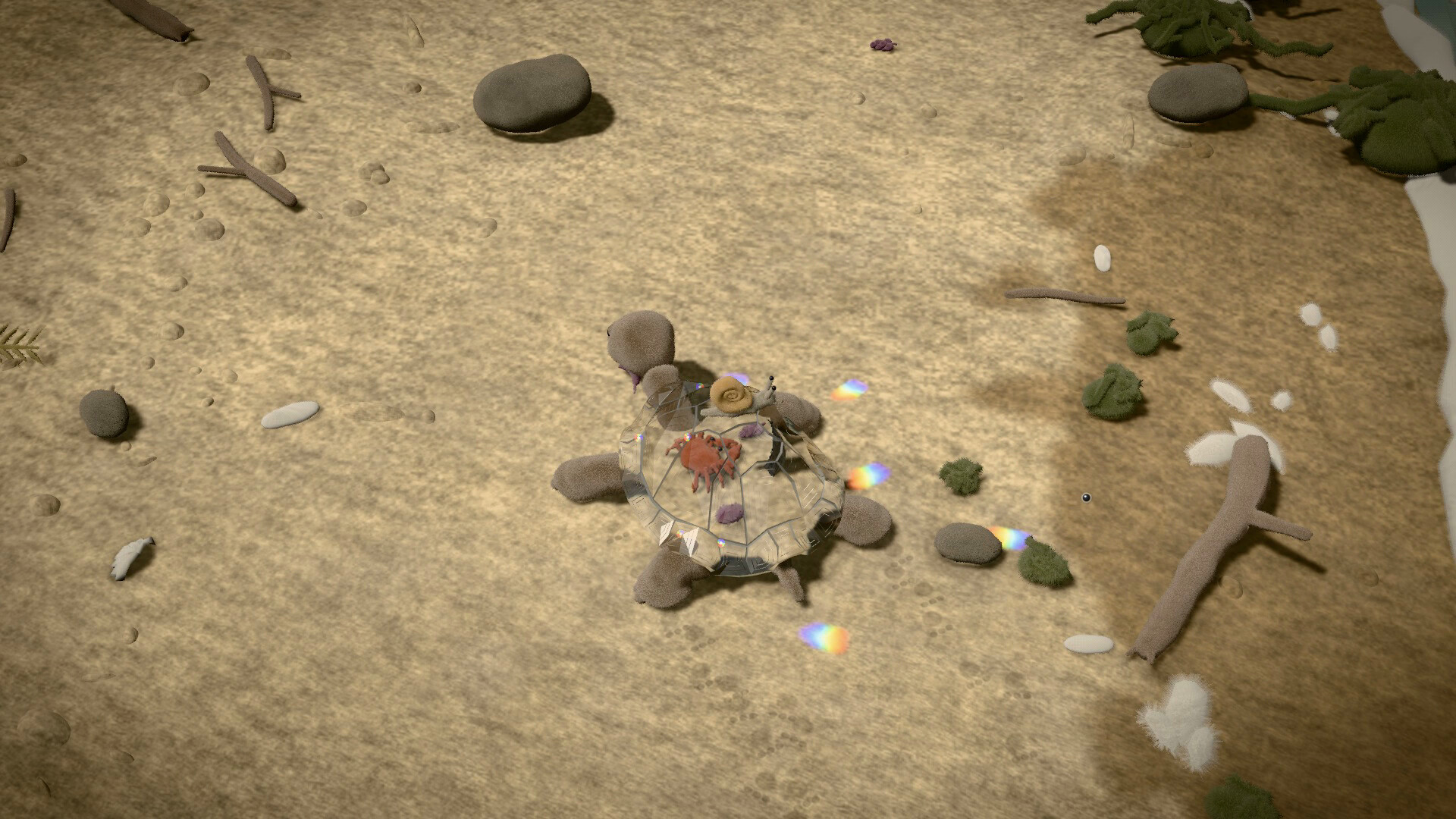 Order of the Crystalline Tortoise trailer
