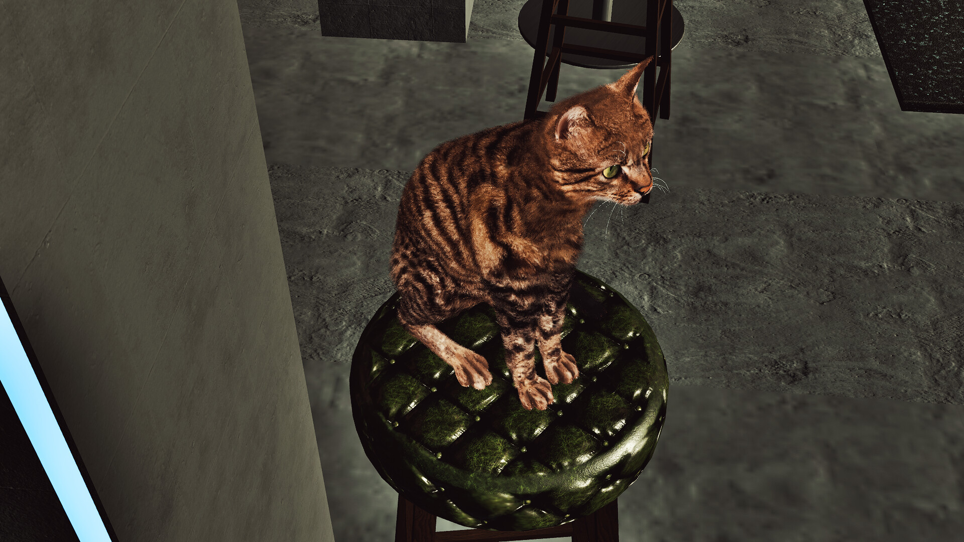 Billiard Cat screenshot 2