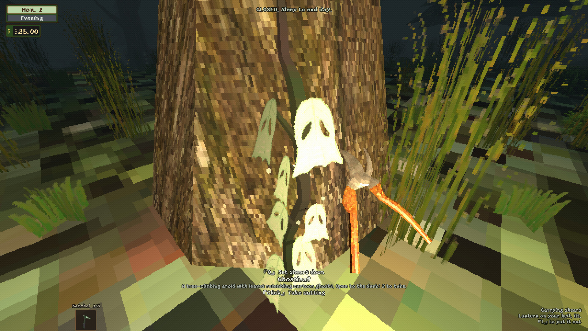 Everything Grows Here screenshot 2