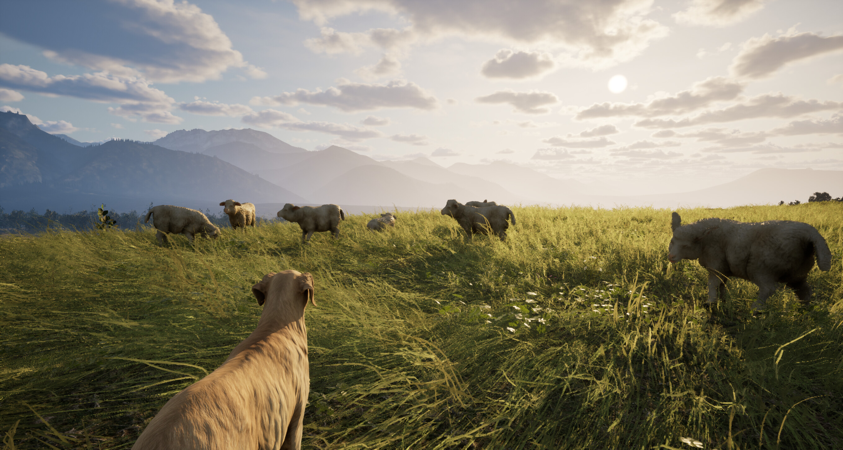 GORAL: Highlander Simulator trailer