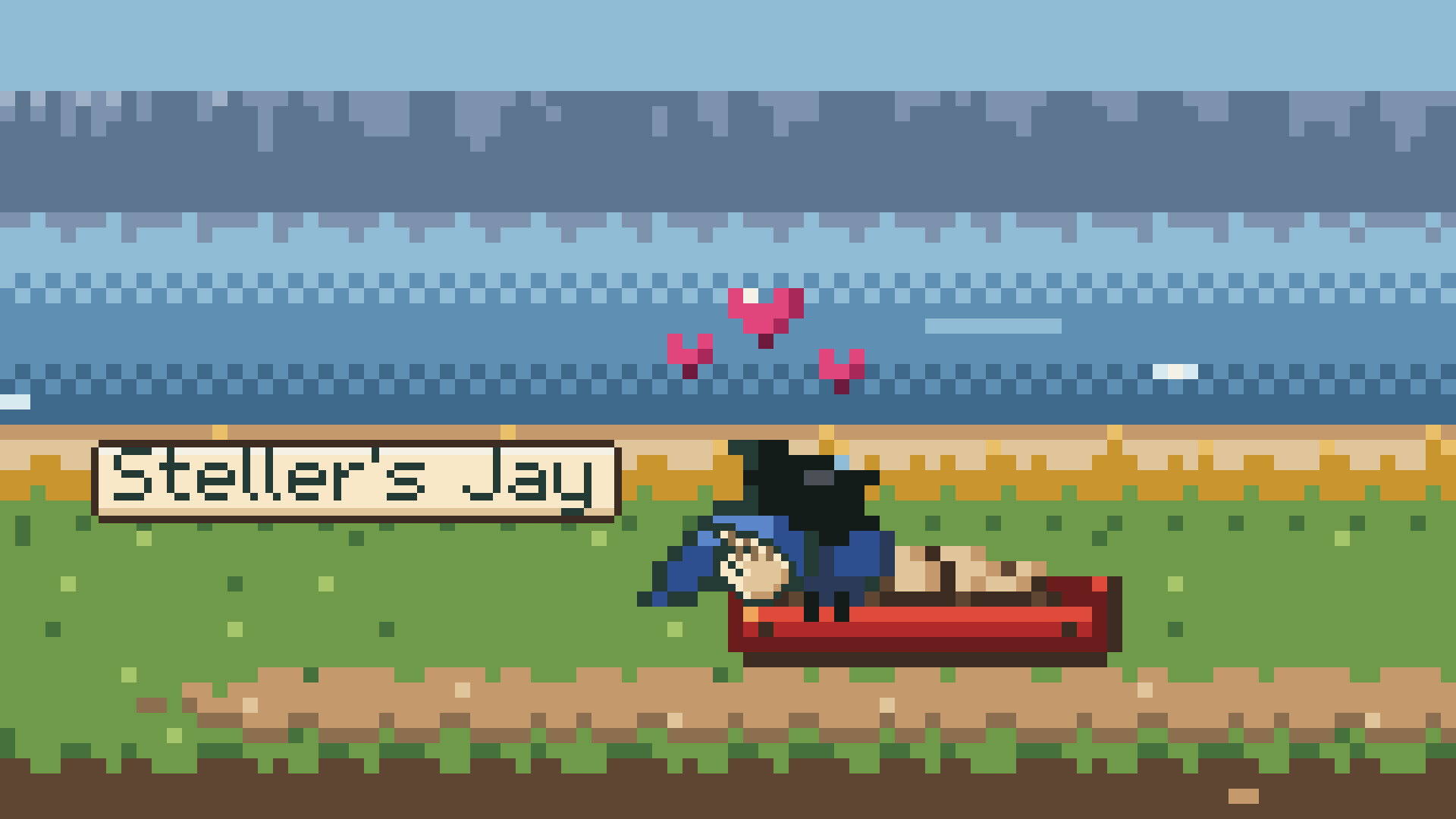 Bird Feeder screenshot 2