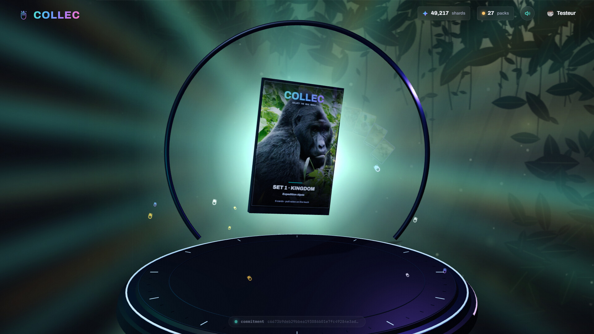 Collec screenshot 3