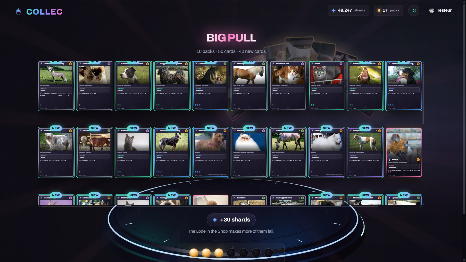 Collec screenshot 5