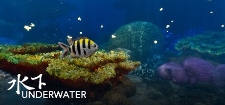 Cover art from Underwater