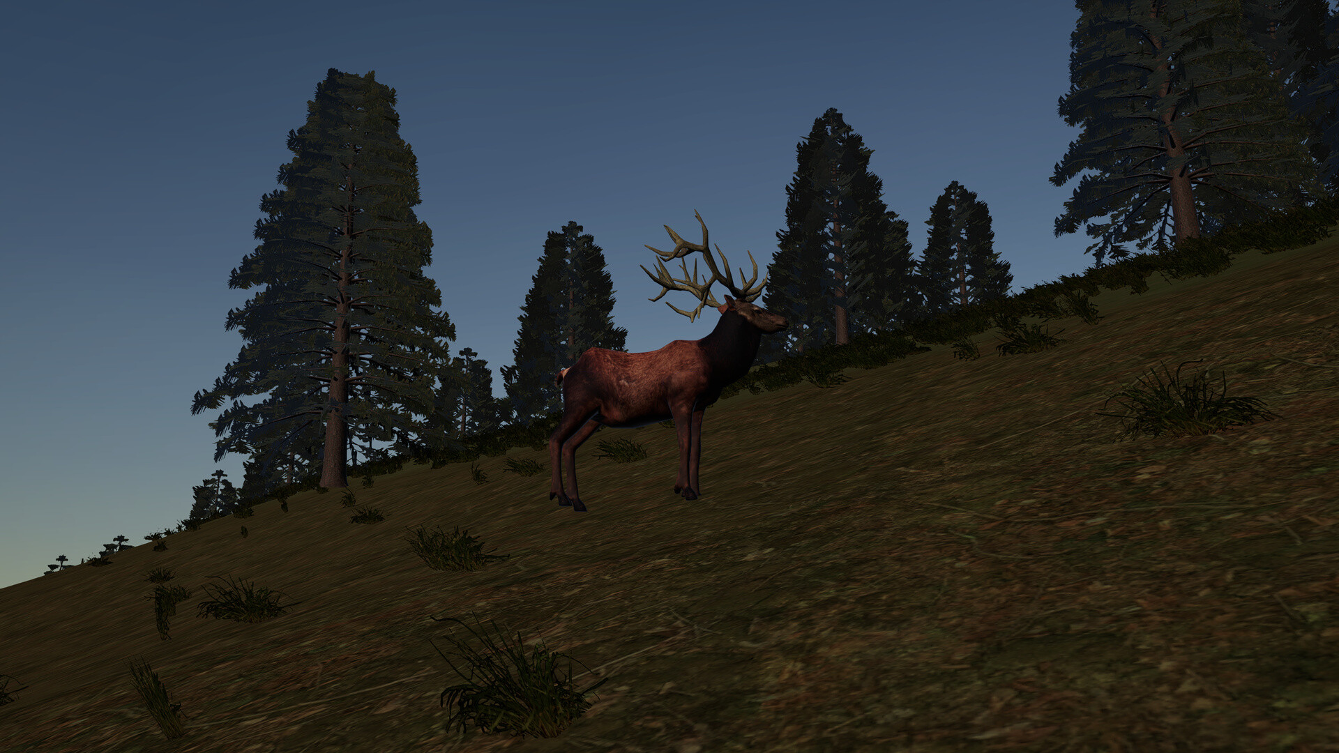 Dark Forest screenshot 5