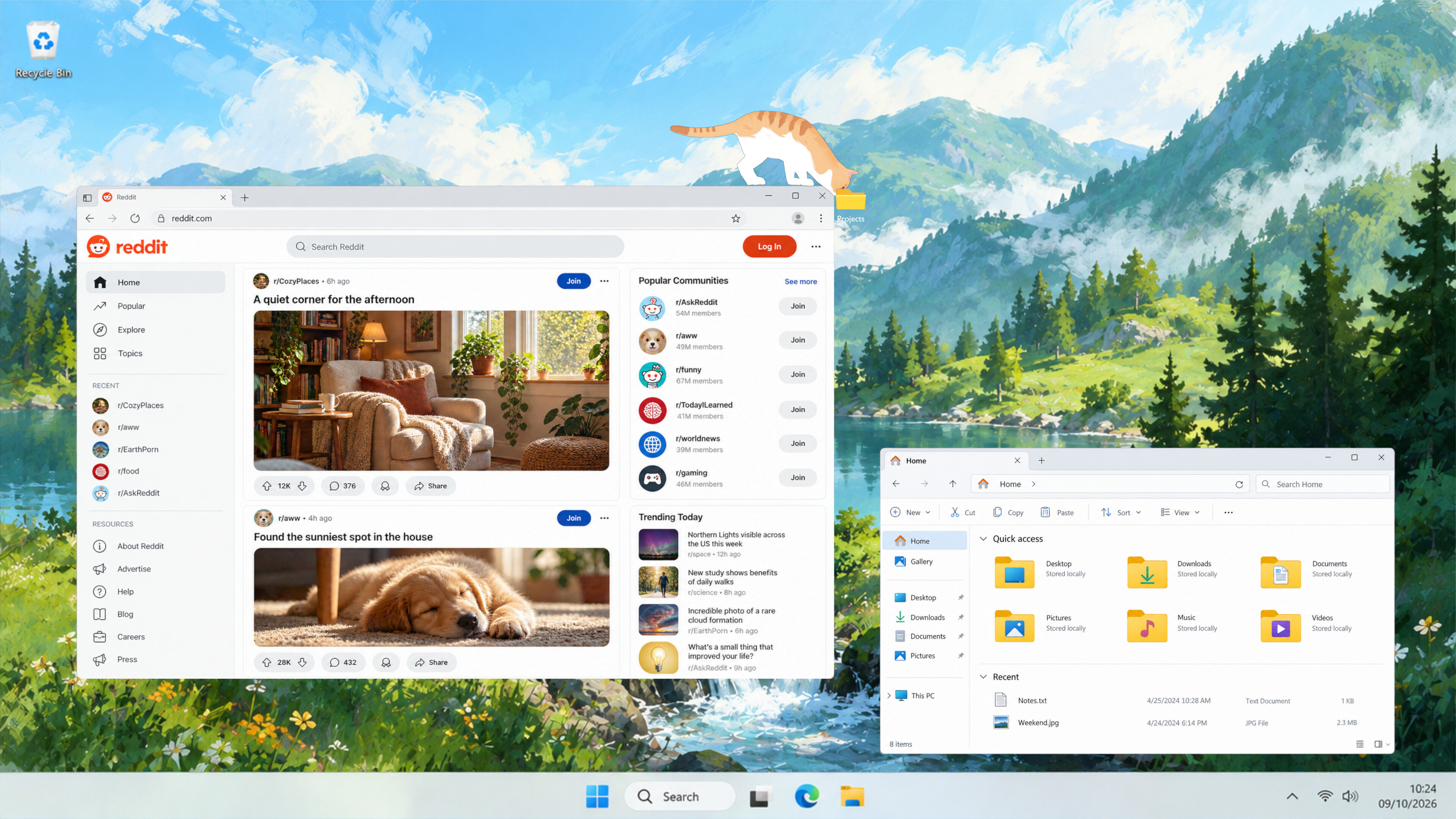 Kedi: Living Desktop Cat screenshot 3