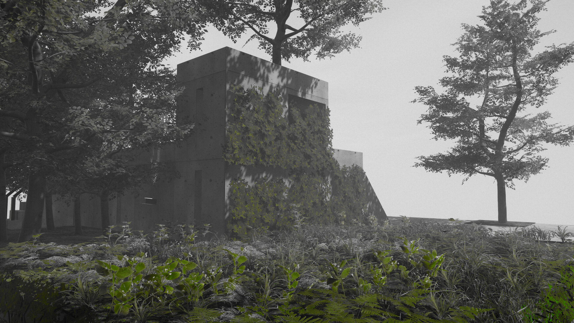 Tiny Brutalism trailer