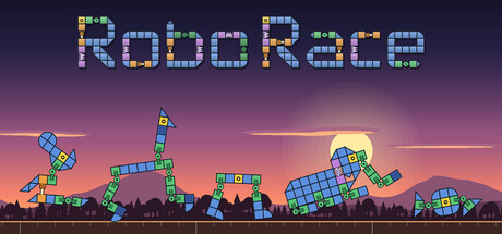 Cover art from Robo Race