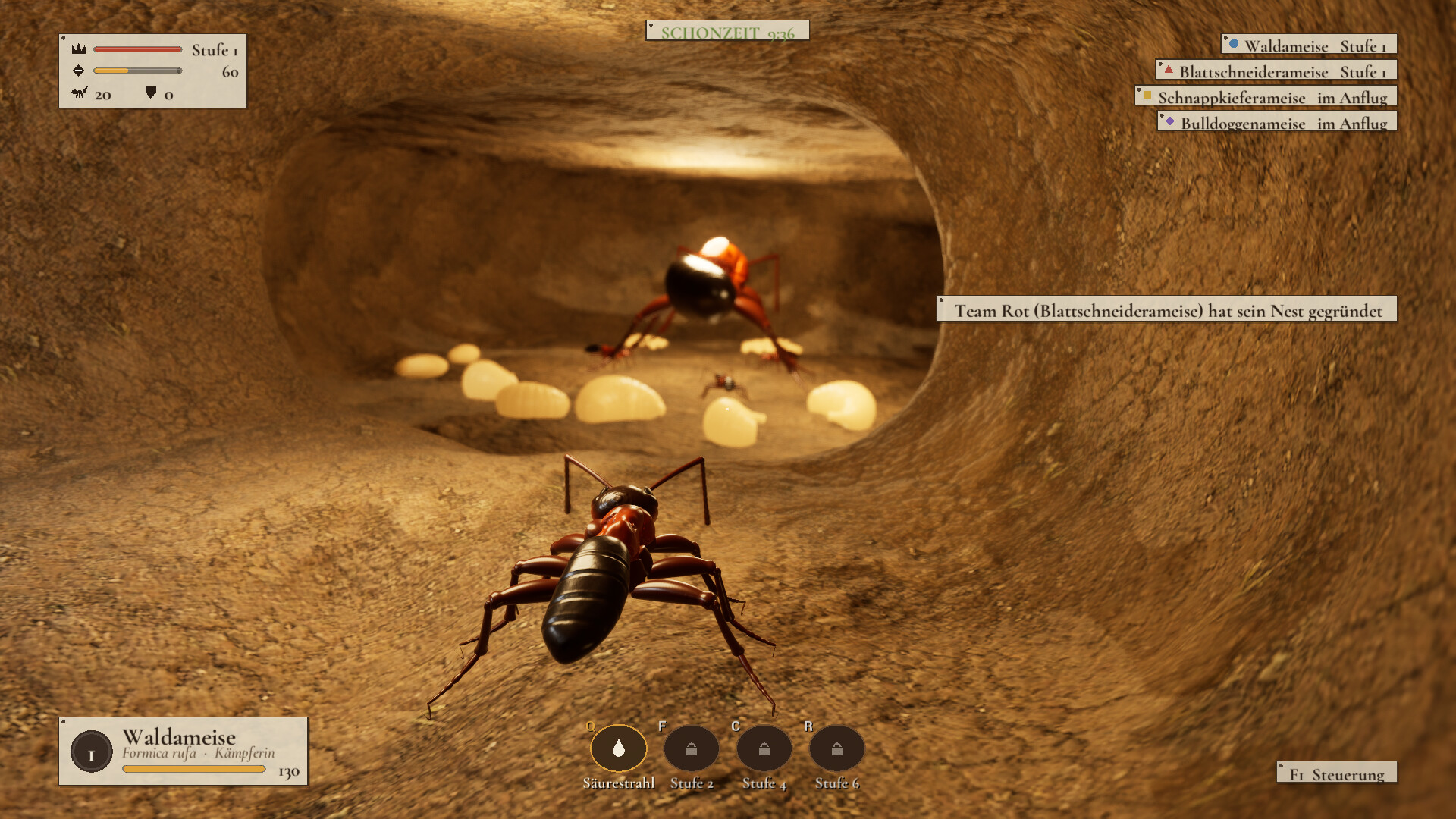 Ant Now? screenshot 3