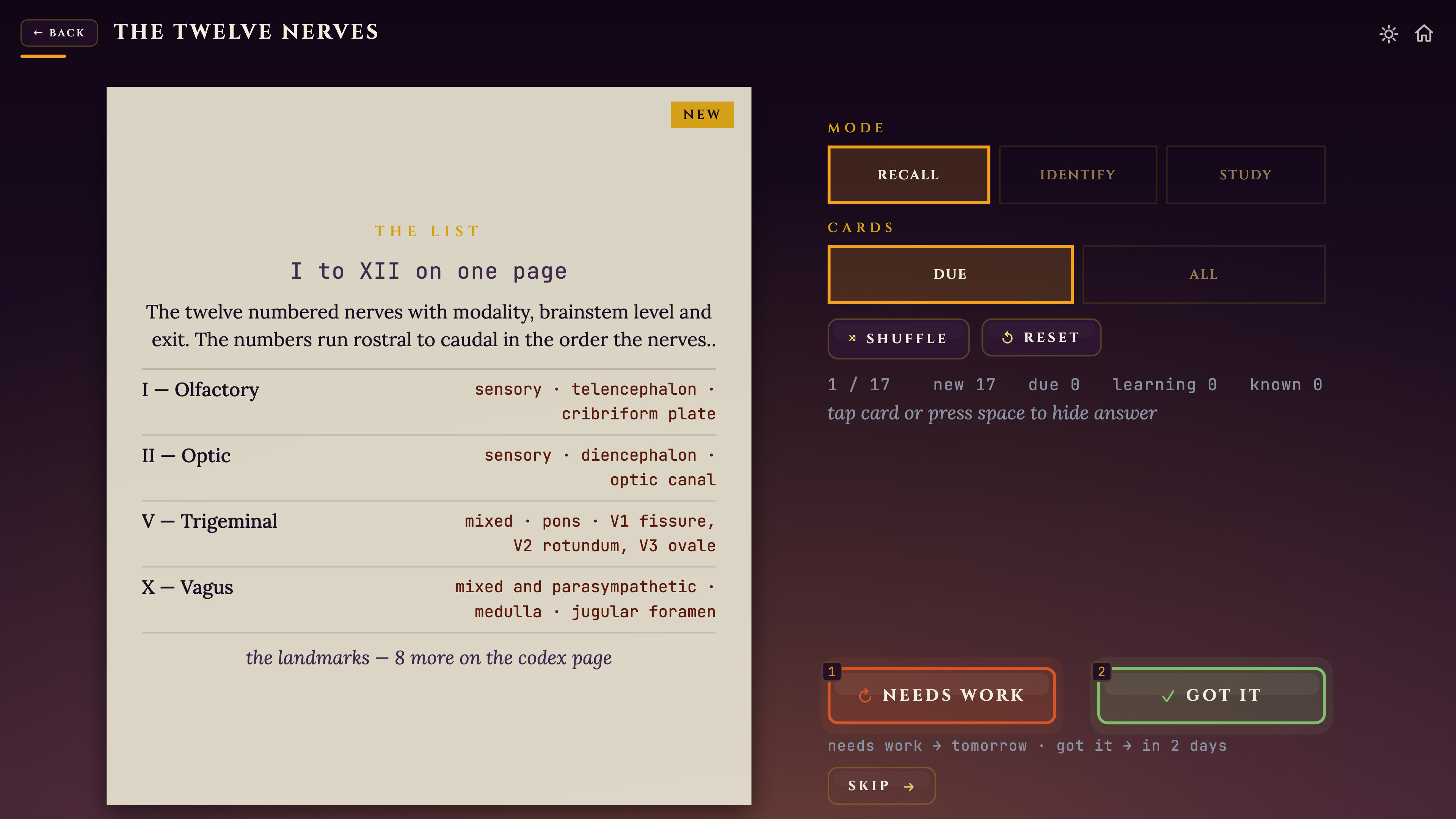 Total Neuroscience screenshot 3