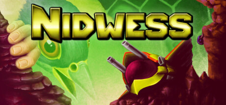 Cover art from Nidwess