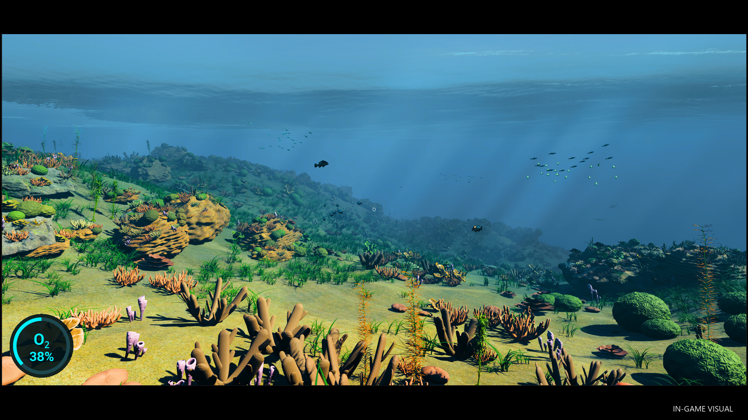 DWARKA screenshot 3