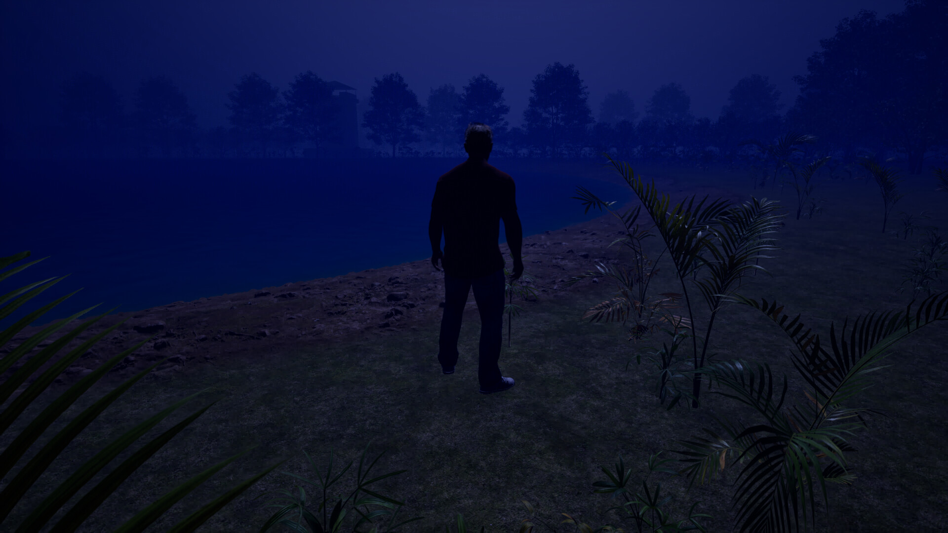 The Ghost Of Black Forest screenshot 4