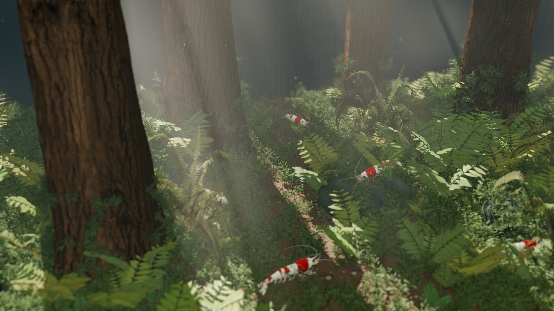Bee Shrimp Aquarium screenshot 5