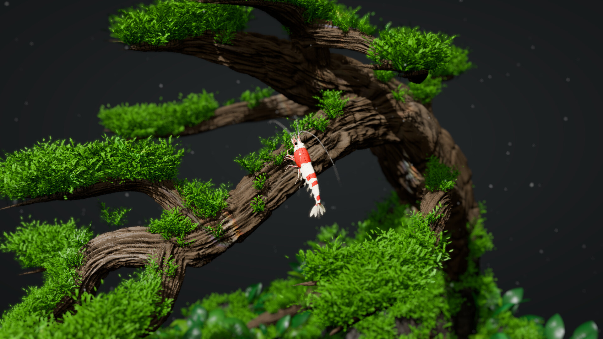 Bee Shrimp Aquarium screenshot 2
